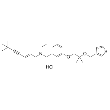 FR194738 HCl 204067-52-7